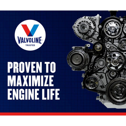 Valvoline Daily Protection 10W-40 Conventional Motor Oil 1 QT
